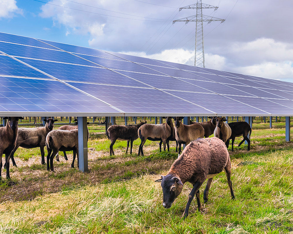 D&ouml;rverden solar park