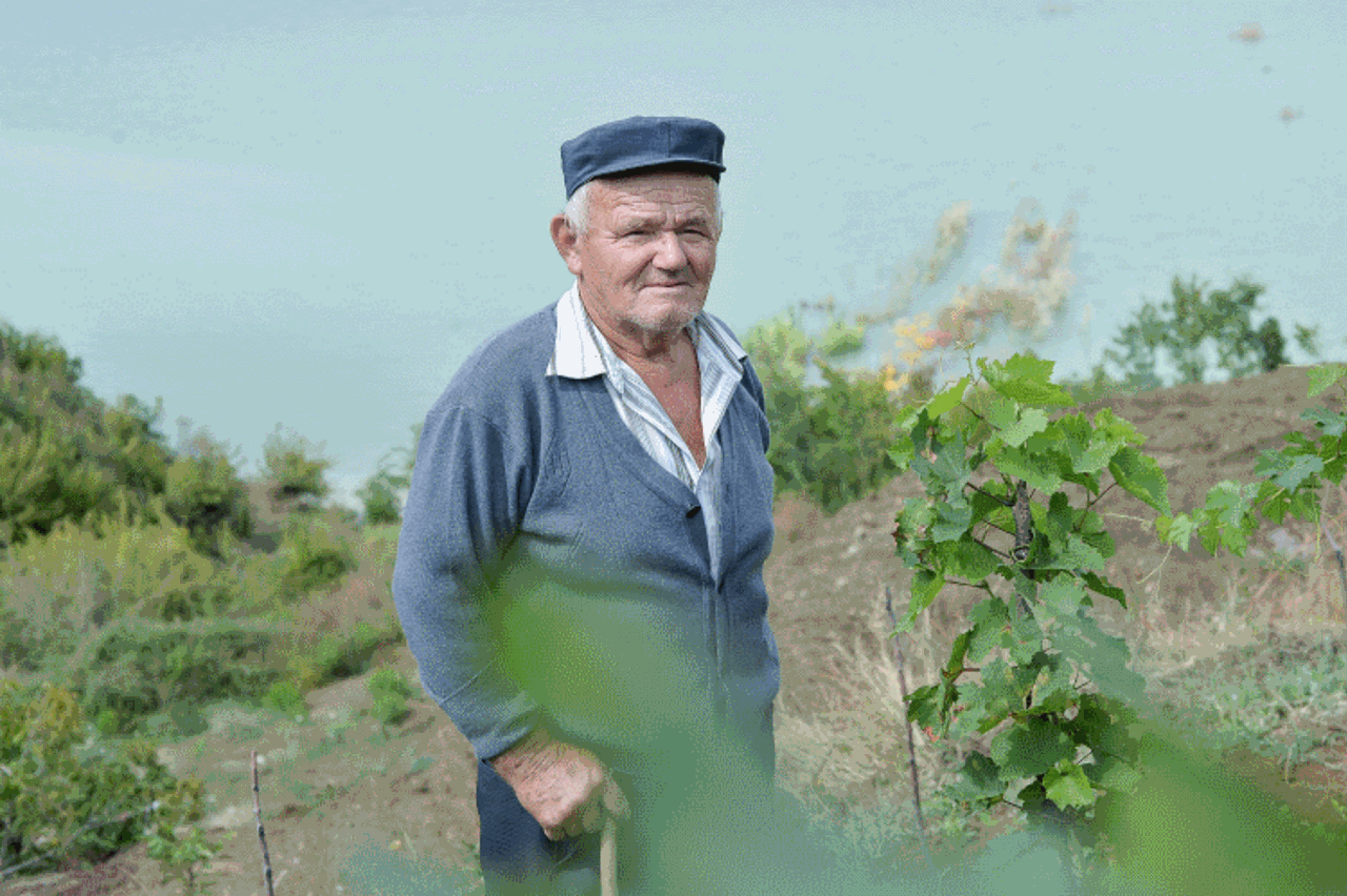 Farmer in field