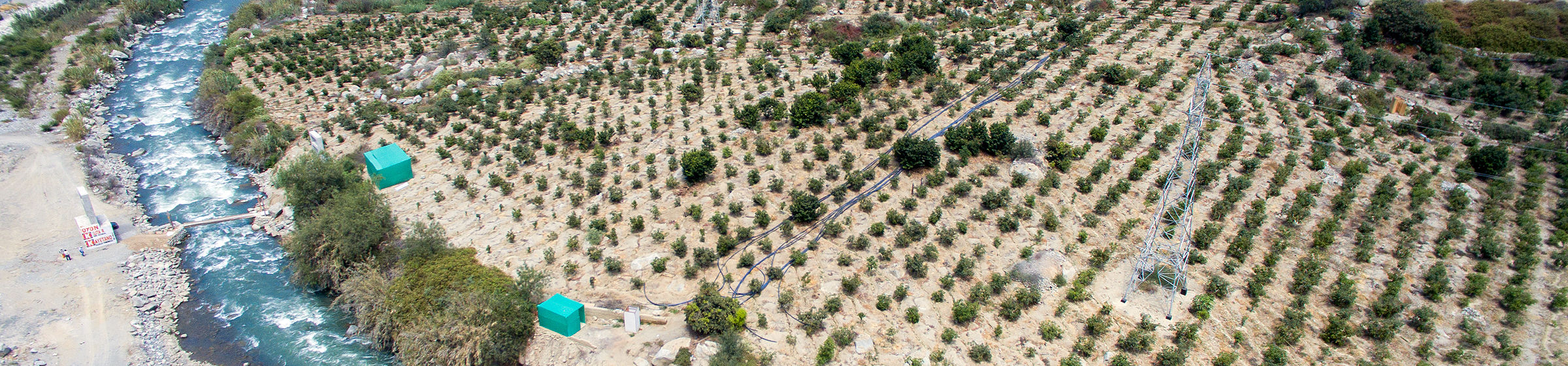 Fruit orchard